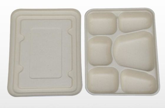 FDA 6 μίας χρήσης καλαθάκι με φαγητό αχύρου σίτου επιτραπέζιου σκεύους διαμερισμάτων διασπάσιμο
