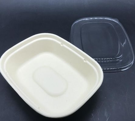 Βιο εμπορευματοκιβώτιο τροφίμων επιτραπέζιου σκεύους ζαχαροκάλαμων μορφής του U ορθογωνίων Sald με το διαφανές καπάκι