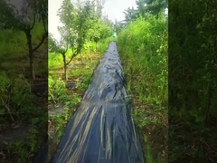 PP με υπεριώδη διαπερατότητα Μαύρο και πράσινο χαλί για την καταπολέμηση των ζιζανίων