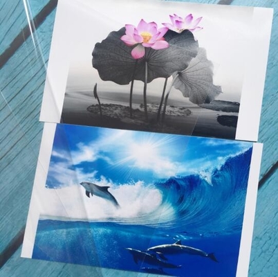 3D Cat Eye Film Photo Cold Laminated Film, Διαφανής τρισδιάστατη ταινία διακόσμησης σπιτιού