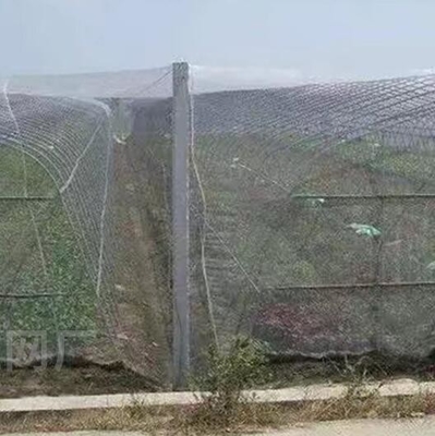 Καλό Δίκτυο Προστασίας Αγρίων Πουλιών από Μανιτάρια Δίκτυο Προστασίας Αγριόπτωσης Δίκτυο Προστασίας Φυτών